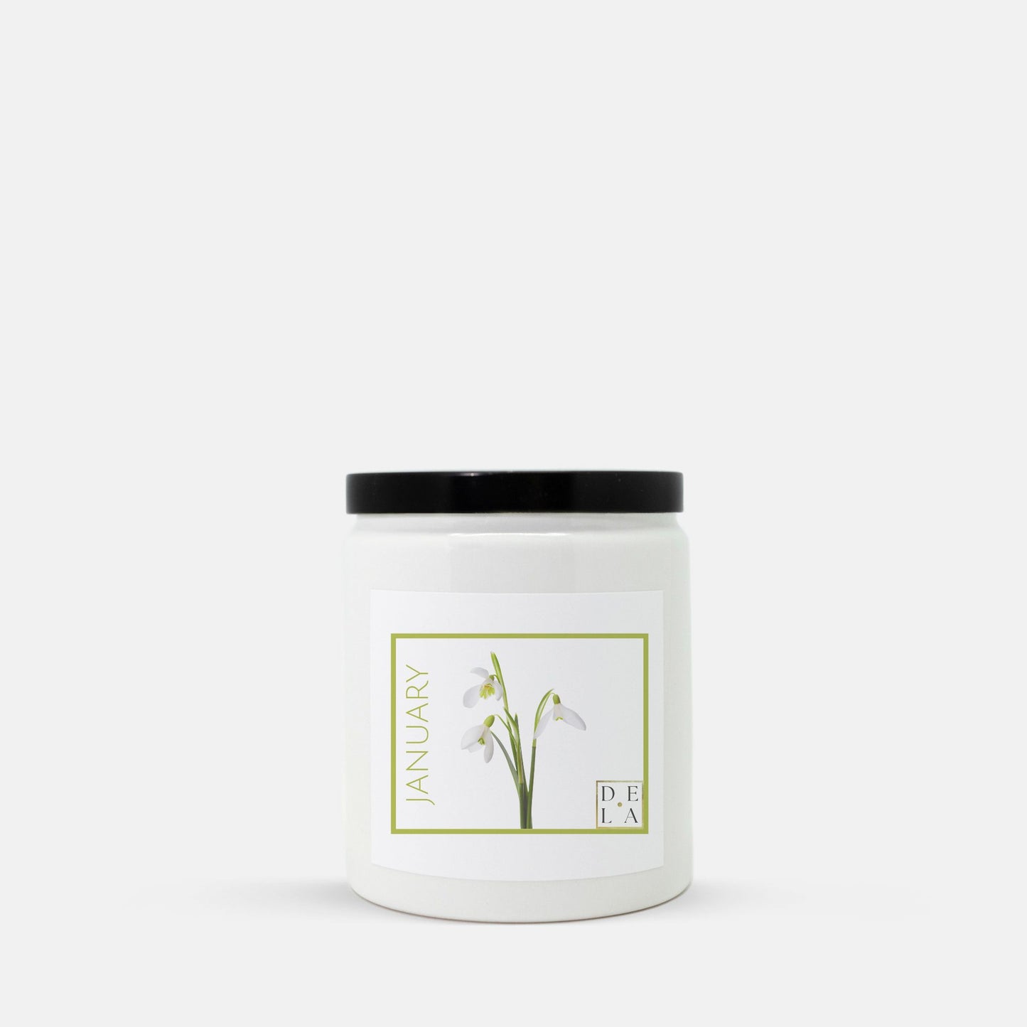 Months - January - Snow Drop