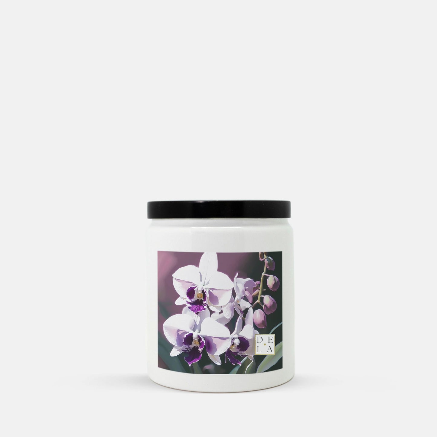 Flowers - White Violet Orchid