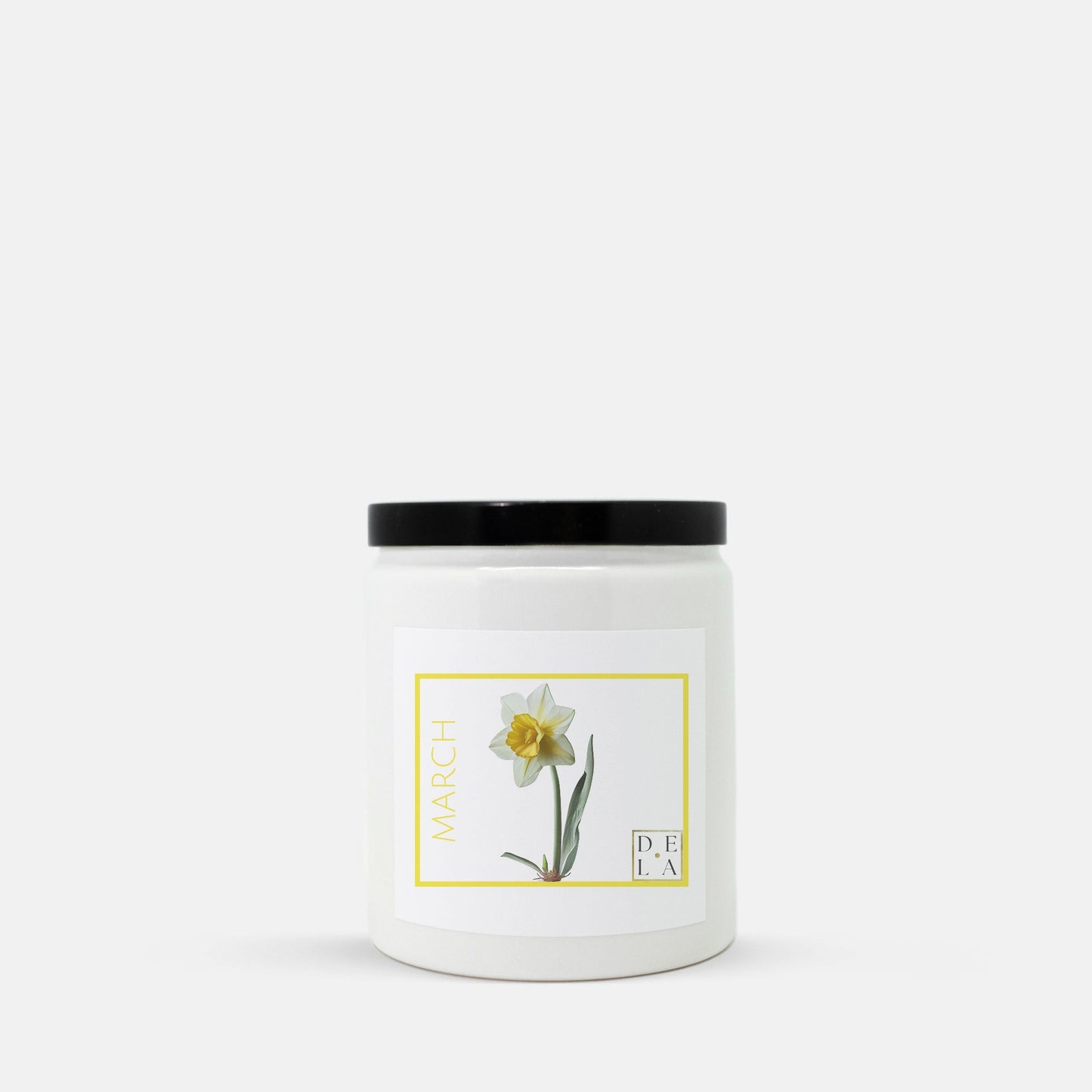 Months - March - Daffodil