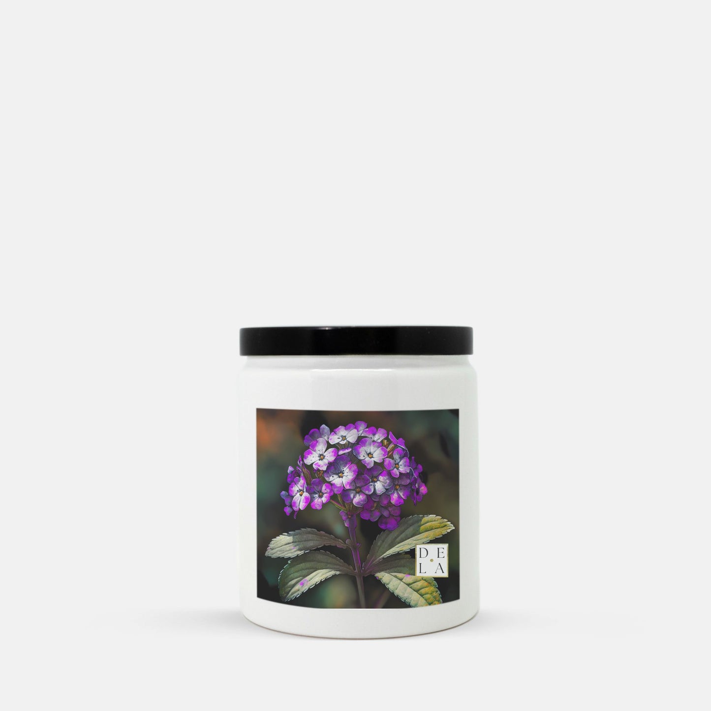 Flowers - Purple Verbena